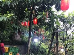 -枇杷园食为鲜火锅(南山店)