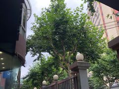 -川香煲(茅台路店)