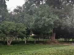 -合肥生态公园