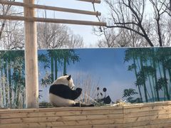 -秦皇岛野生动物园