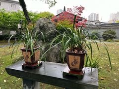 -墨池公园