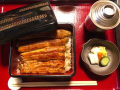 -料亭菊水楼
