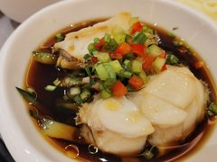 温捞鲍鱼仔-鲍鱼王子(深圳大厦店)