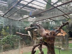 -呀路古热带植物园