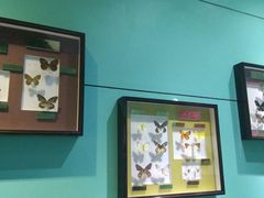 -上海昆虫博物馆