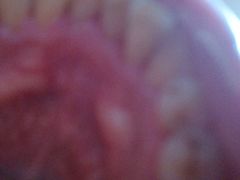 -微笑牙科口腔(三亚迎宾院区)
