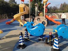 -铁山坪森林公园