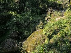 -青城山