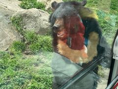 -西安秦岭野生动物园