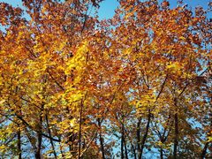 -唐城墙遗址公园