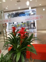 -银座Calla日式美容沙龙