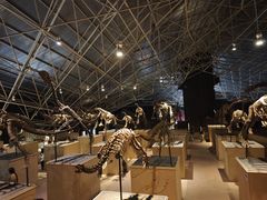 -世界恐龙谷景区