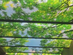 -水云空涧·沐足·采耳·按摩·SPA影院(琶洲店)