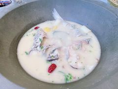 -滇色蒸汽石锅鱼(京华城店)