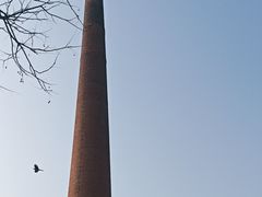 -祝甸砖窑文化馆