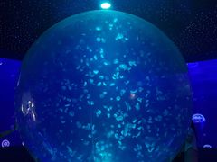 -江和美海洋公园