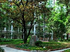 -武汉市第四中学