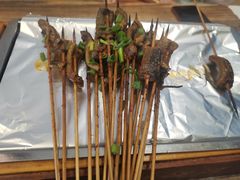 鳝鱼-晓靖轩烧烤(沙河风情店)