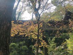 -宁波市保国寺古建筑博物馆