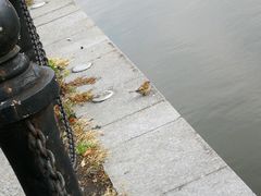 -美兰湖景区