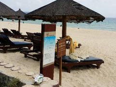 android_upload_pic-三亚亚龙湾红树林度假酒店