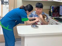 -康成宠物医院24H·CT·核磁共振