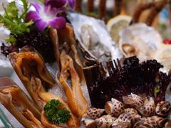 -金龙·打边炉(南京西路店)