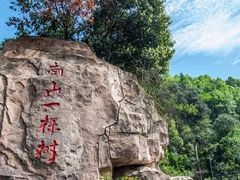 -南山植物园