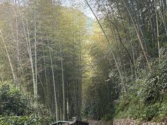 -宁海安岚·南溪阁全日餐厅
