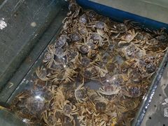 -食嗨汇海鲜烤肉自助餐厅(印象济南店)