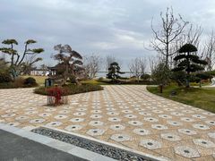 -上海滴水湖皇冠假日酒店