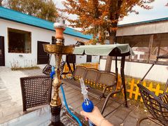-Sultan pakistan苏单巴基斯坦