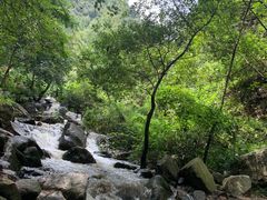 -秦岭风景区
