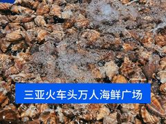 -三亚火车头万人海鲜广场