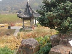 -龙寺生态园