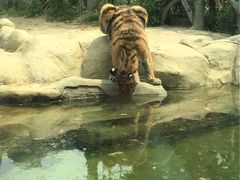 -常州淹城野生动物世界