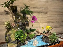 -广州白天鹅宾馆