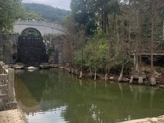 -广州市帽峰山景区