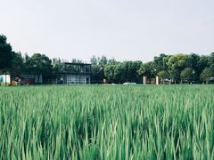 -MUSEO COFFEE咖啡博物馆