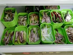 -蚝专家