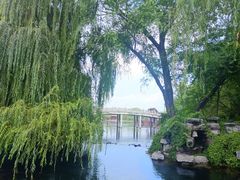 -百脉泉景区