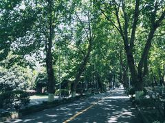 -四川大学(望江校区)
