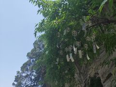 -少华山国家森林公园