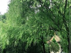-百脉泉景区