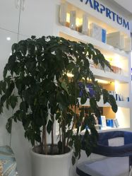 -蓝丝带产后恢复中心(清扬茂业店)