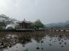 -星湖旅游景区七星岩