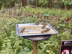 -野象谷景区