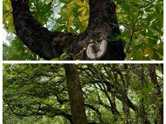 -宁波市保国寺古建筑博物馆