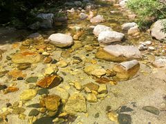 -少华山国家森林公园