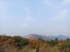 -灵岩山风景区